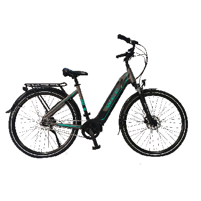 電動(dòng)兩輪自行車 