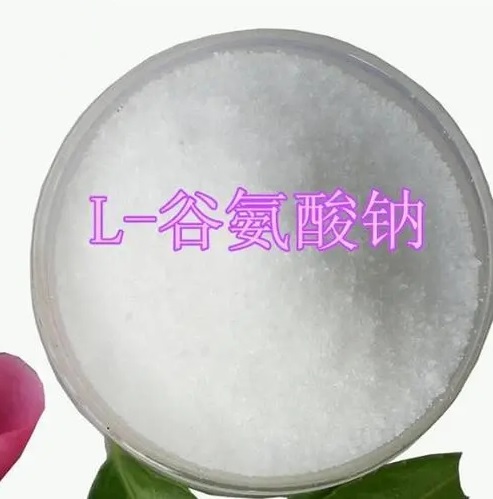 谷氨酸鈉MONOSODIUM GLUTAMATE